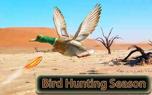 Game Berburu Burung