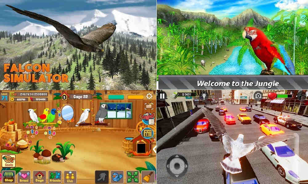 10 Game Memelihara Burung di Android Offline Paling Menghibur