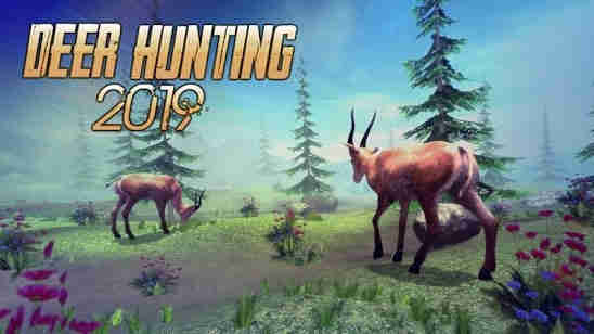 2019 Deer hunting